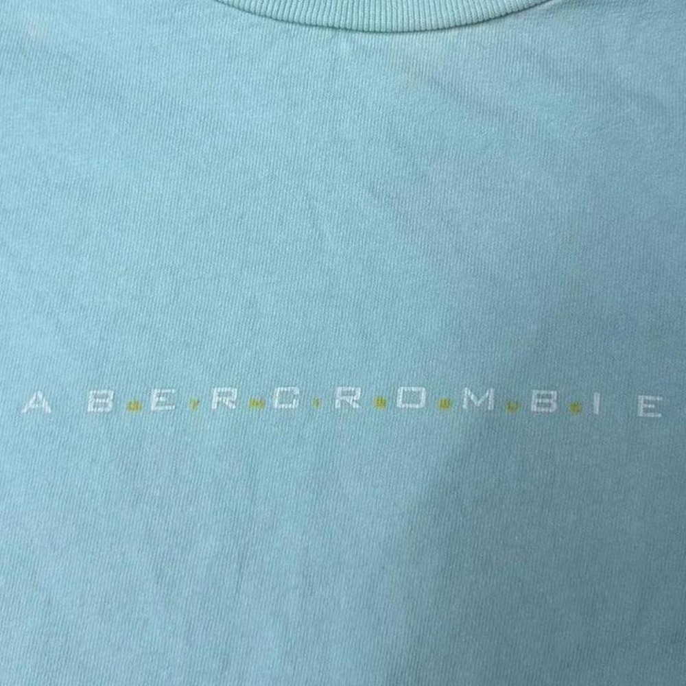 2000s Y2K cute Abercrombie & Fitch spell out  blue and white baby tee